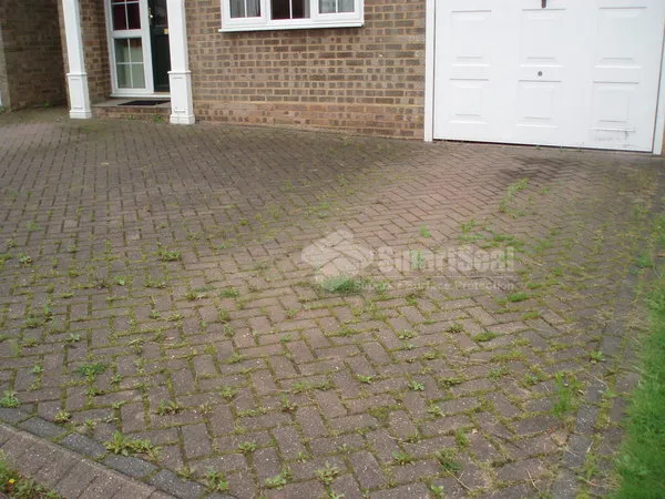 block paving full of moss and weed growth